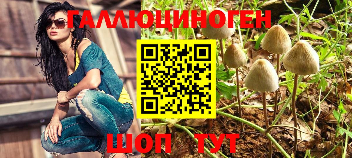 Нягань  Галлюциногенные грибы мухоморы  хочу наркоту  Вход с VPN  Псилоцибиновые грибы Psilocybe 