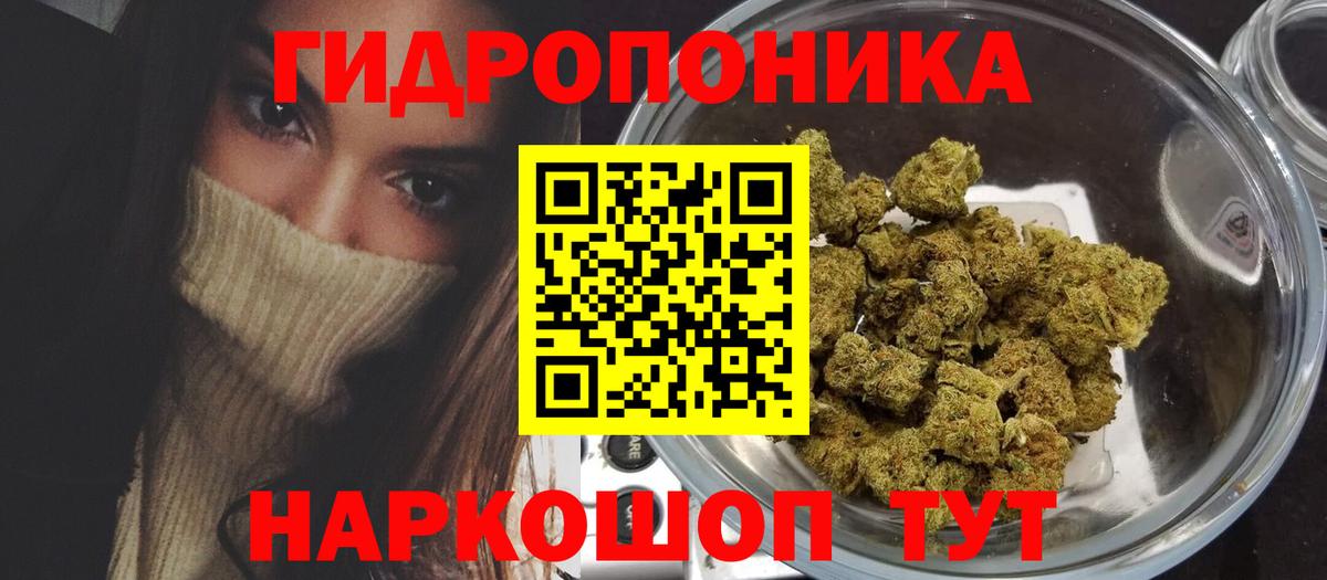 Шишки марихуана семена  Марихуана White Widow  Вход с VPN  Нягань  Марихуана план  Марихуана марихуана 